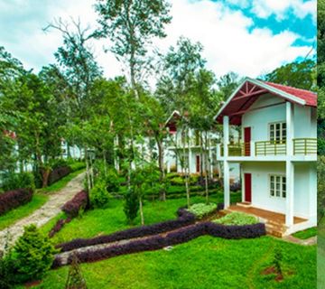 The Blossom Resort